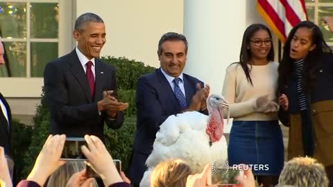 Obama pardons Turkey at White House ceremony