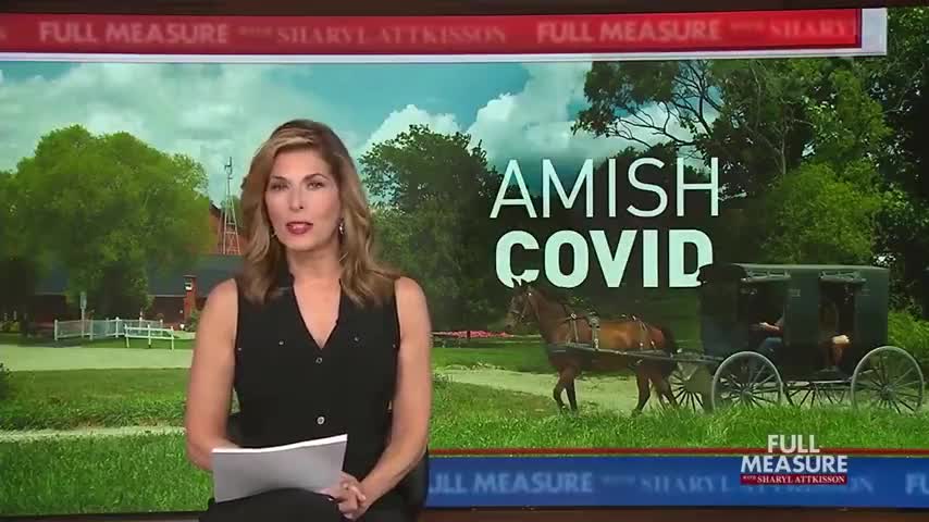 AMISH has it under control in their own "world".