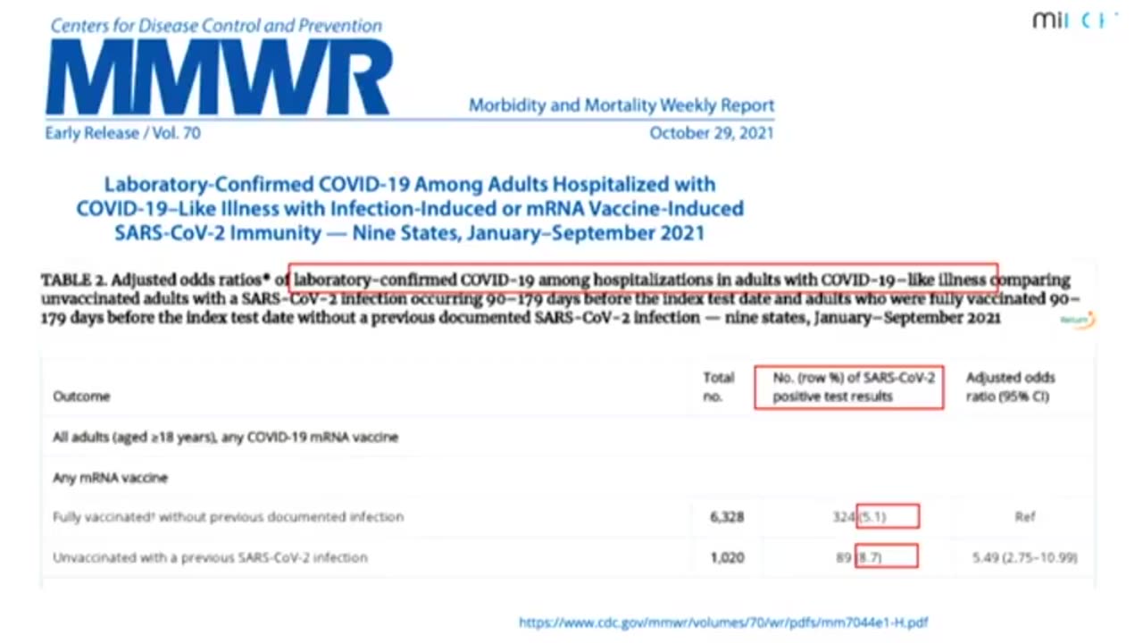 Karen Kingston Targeted Individual whistleblower