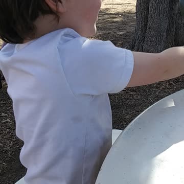 Ryan and Grandpa playing with his dinosaur!
