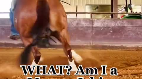 I have to say, riding skills are very important