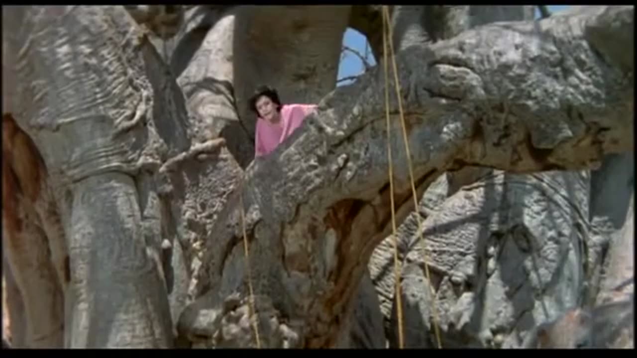 THE GODS MUST BE CRAZY part 1 ( 360 X 640 )