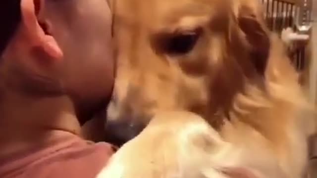 Hugs time with my Golden retriever