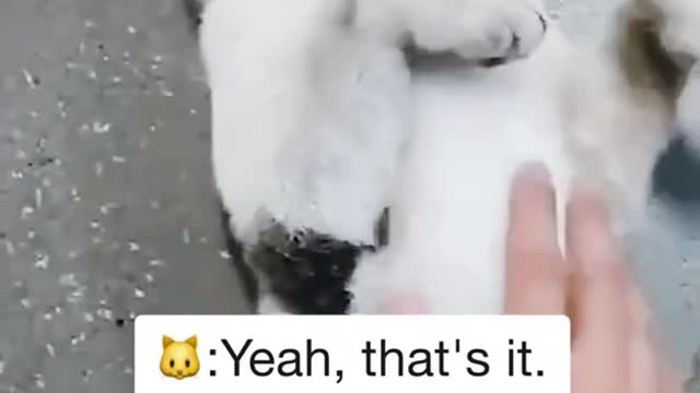 Where do you think you're going?
