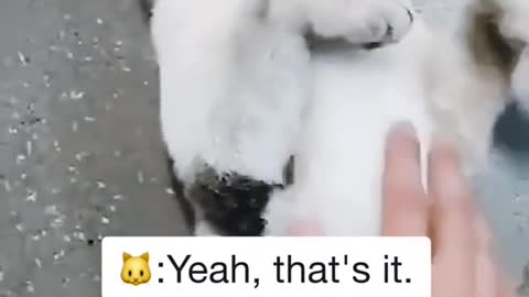 Where do you think you're going?