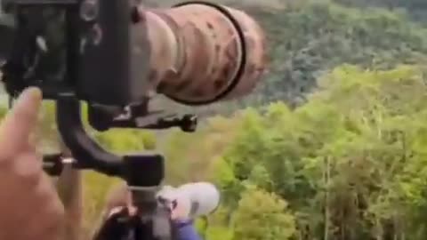Interesting tune of a beautiful bird 🐦🐦🐦🕊️🕊️🕊️