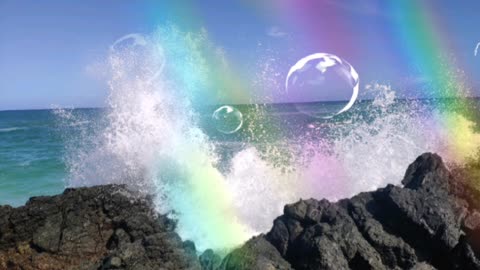 seasite