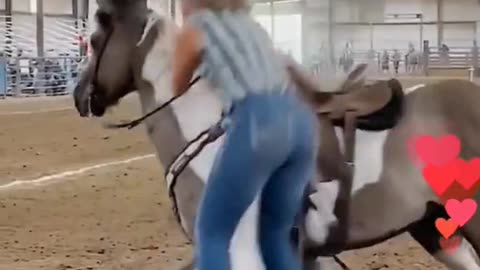 Professional Horse Trainer Switch