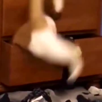 I wonder what’s in the drawer🤔🤣