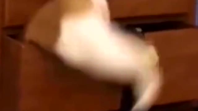 I wonder what’s in the drawer🤔🤣