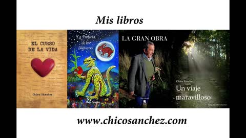 Parte 10 - El mago encantador chino pangolín.. Las aventuras del último Don Quijote.