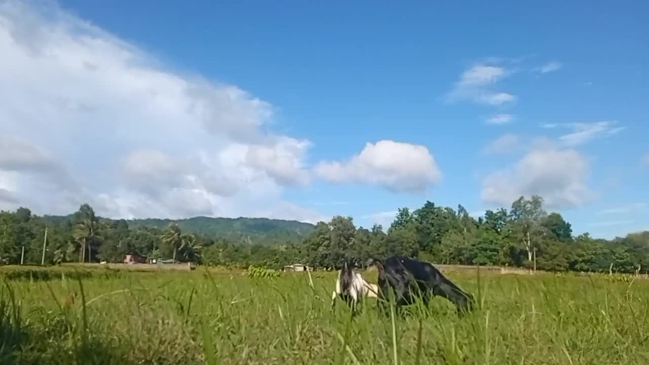 Natural place