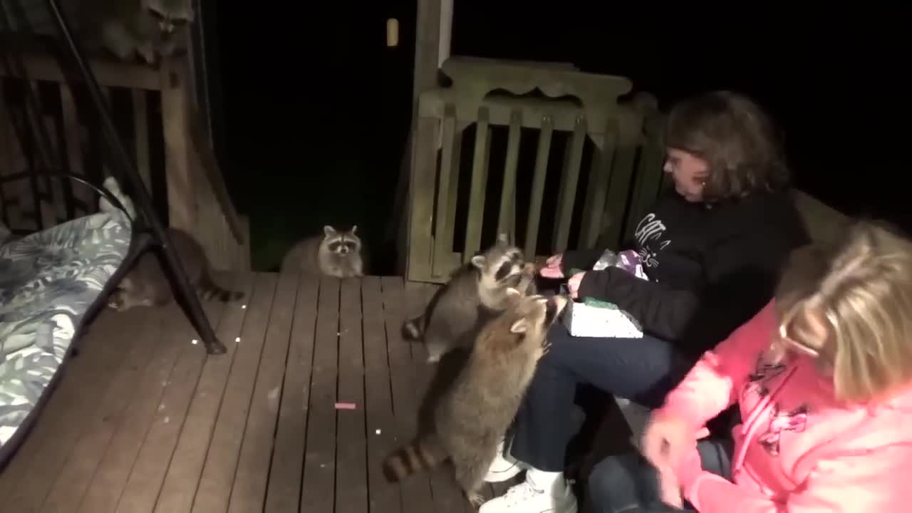 If the virus existed, all life would be gone, you stupid vaxxed morons. Raccoons are not vaxxed