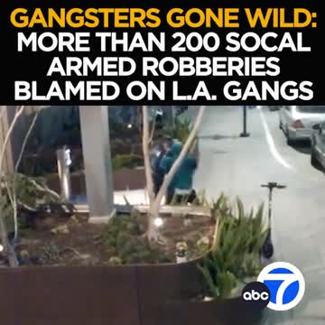 34 year LAPD Veteran explains how bad it is in LA with gangs targeting normal citizens