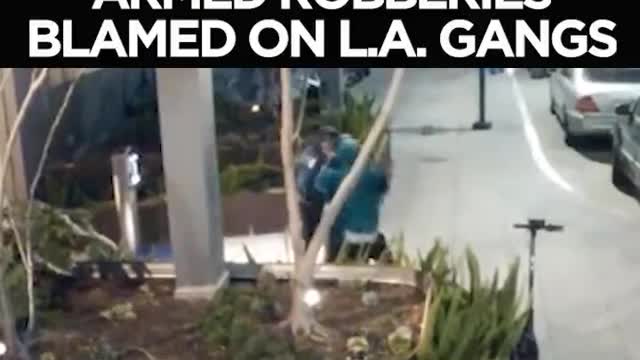 34 year LAPD Veteran explains how bad it is in LA with gangs targeting normal citizens