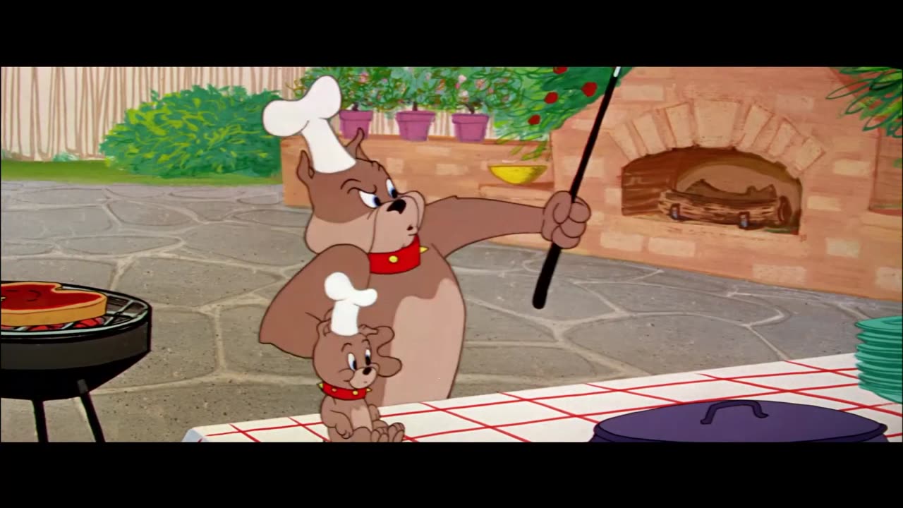 Tom and Jerry new episode | Tom chases Jerry