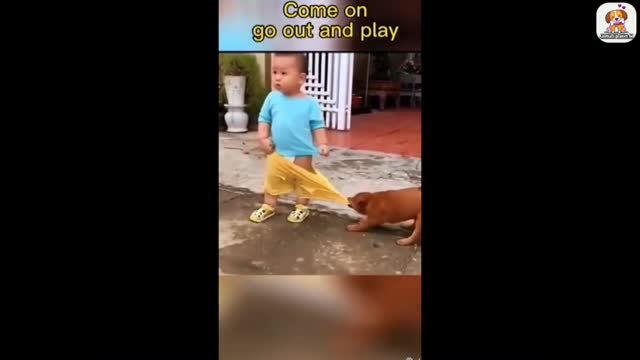 funny animal videos 2022 😂 - best dogs and cats videos 😺😍 #9 - animal network animal network