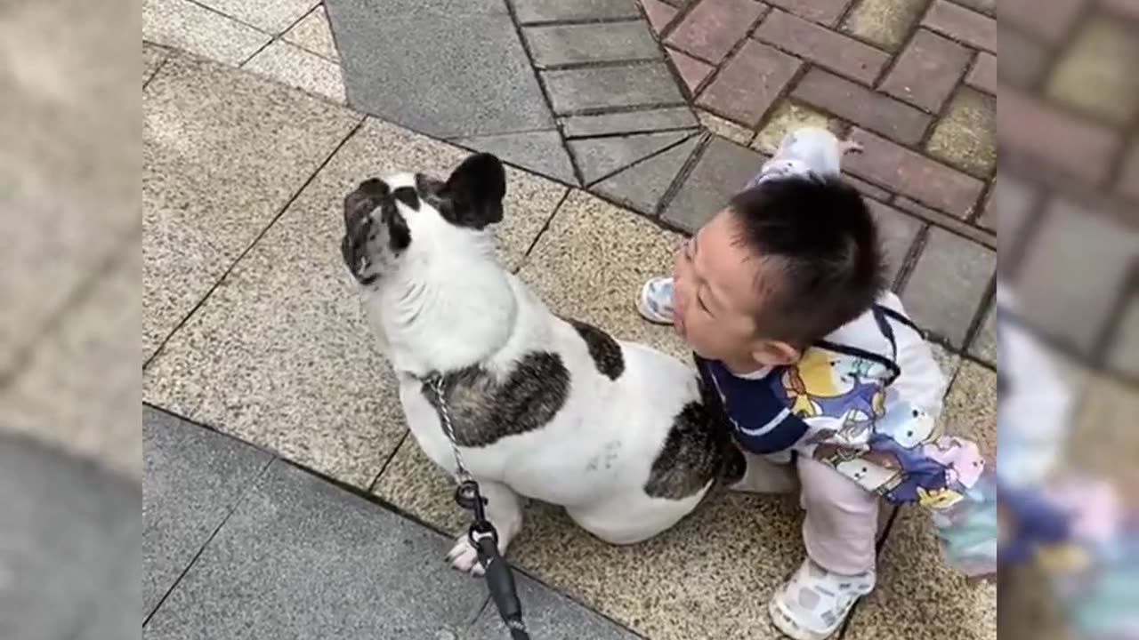 A boy angry against the dog