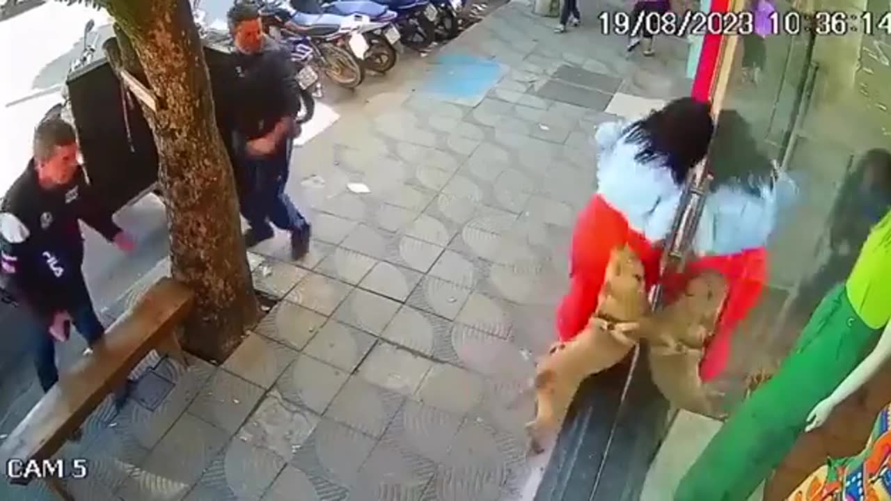 It seems like there's a robbery, but it's not as it seems
