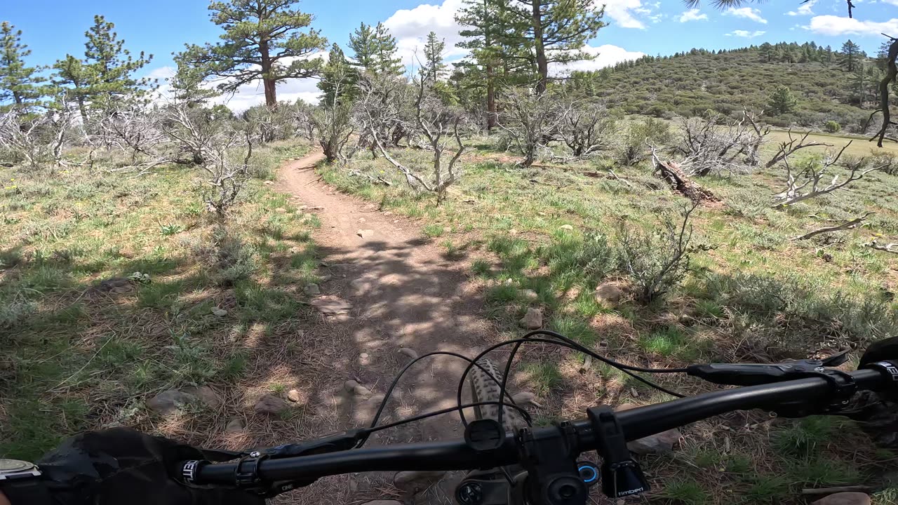 [MTB] Dry Pond Trail (Reno, NV), Part 2