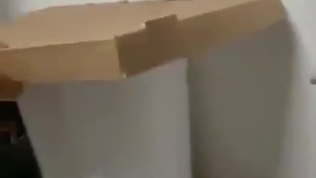 HOW TO CATCH THE MOUSE