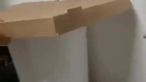 HOW TO CATCH THE MOUSE