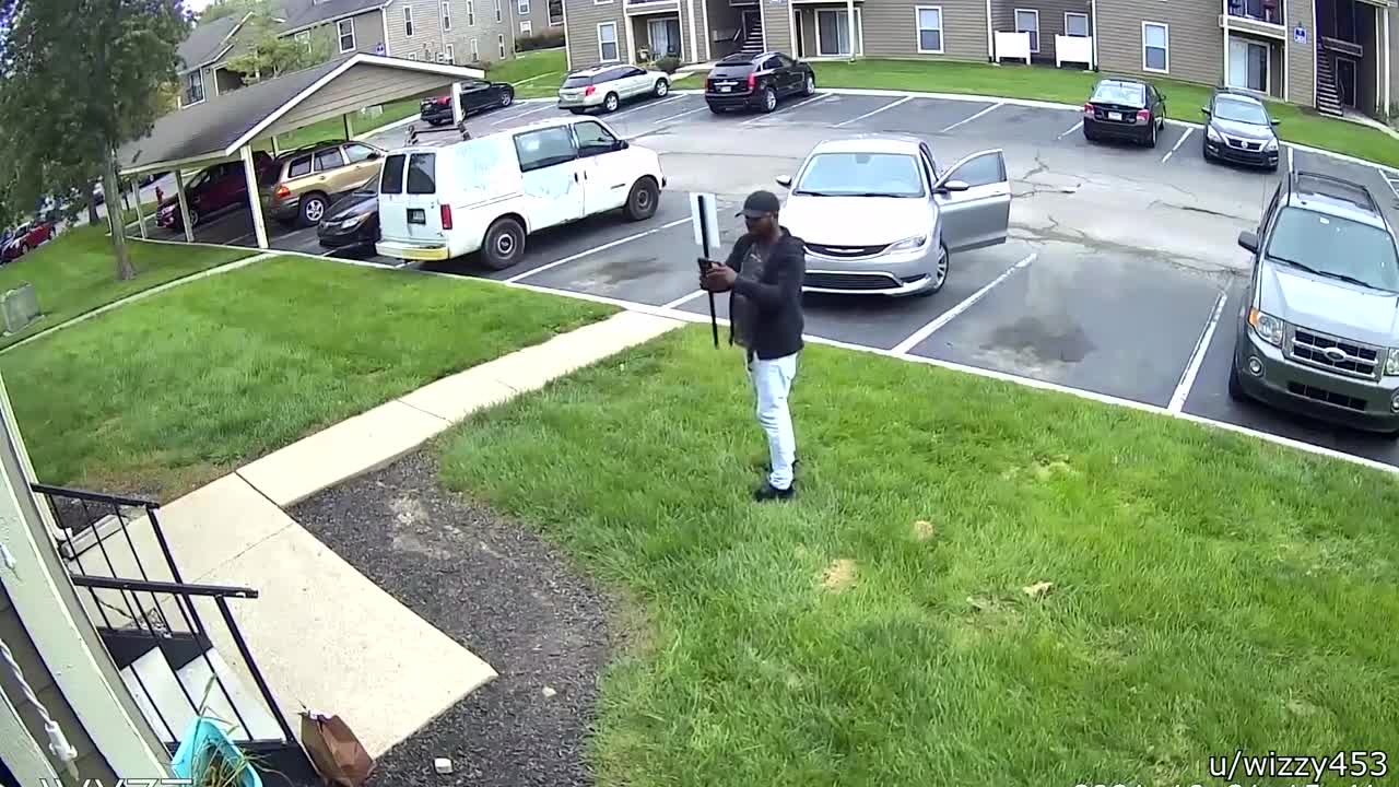 Dog Caught Eating a Cat
