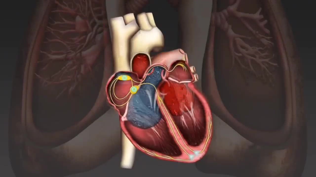 Cardiac cycle products by electron impulse