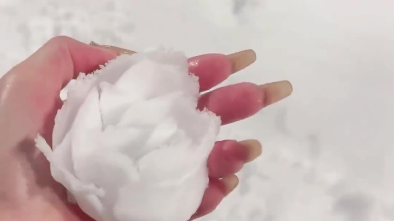 Snow rose