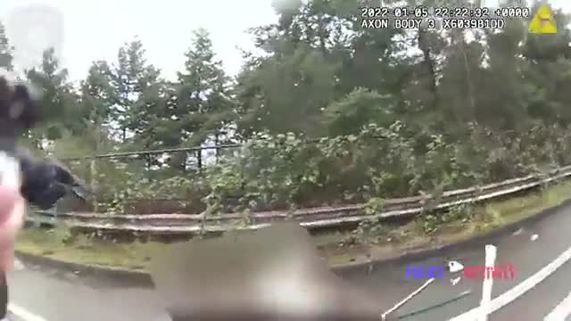 Seattle Police Officer Shoots Suspect As K9 Gets Stabbed Multiple Times!