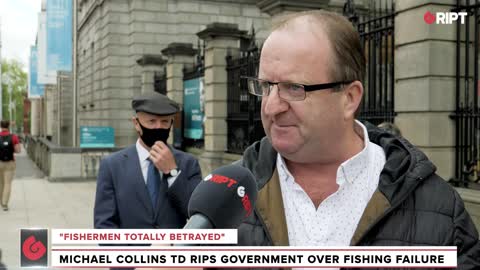 "HEADS NEED TO ROLL": Michael Collins TD rips government on fish failure