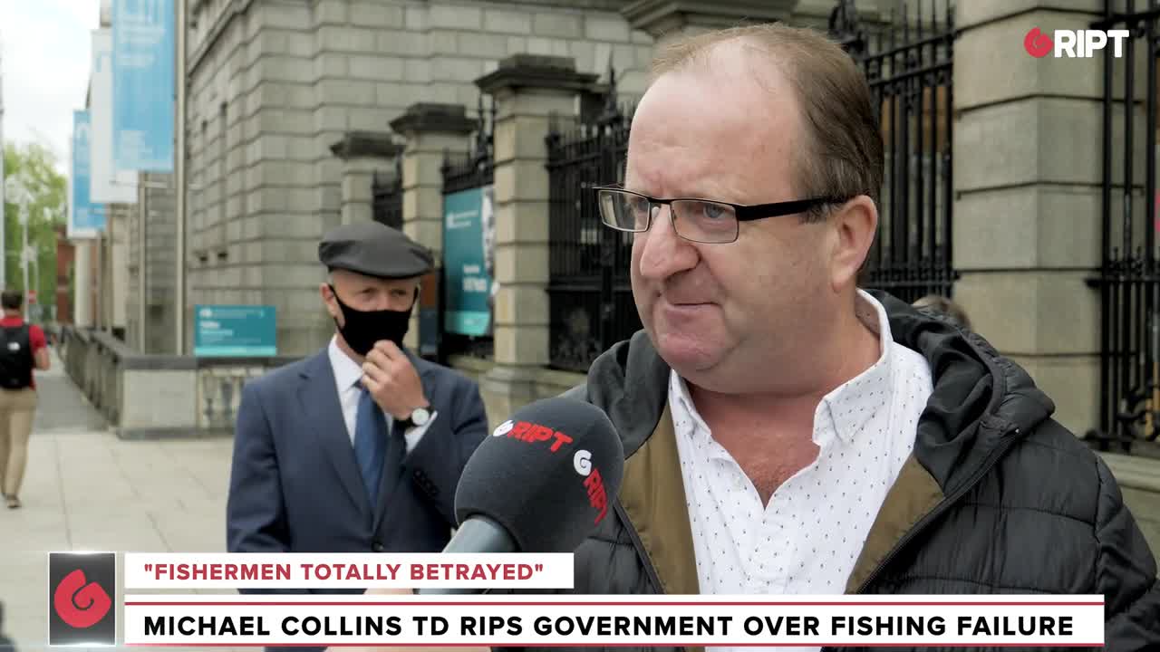 "HEADS NEED TO ROLL": Michael Collins TD rips government on fish failure