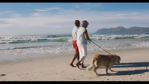 Senior african american couple walking with a dog and holding hands at the beach