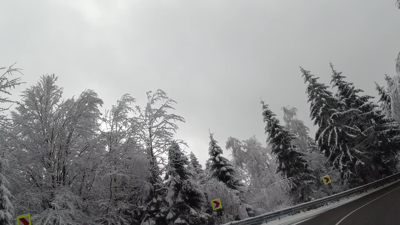 Amazing Winter Drive