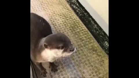 smart seals