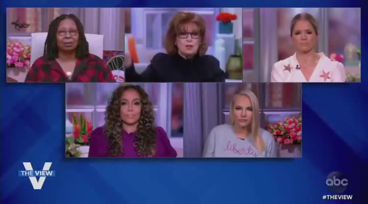 The View: 74 Million Trump Voters Have Been Brainwashed