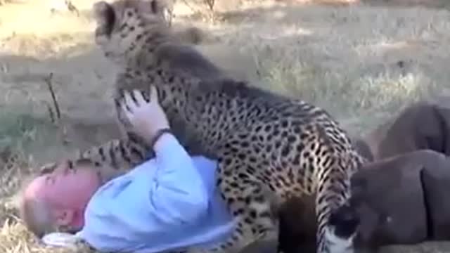 Funniest animals. Best friends The short funny videos with animals