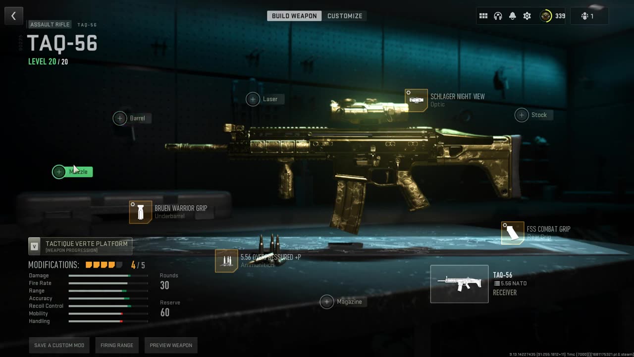 Unlocking the Platinum AR Camo