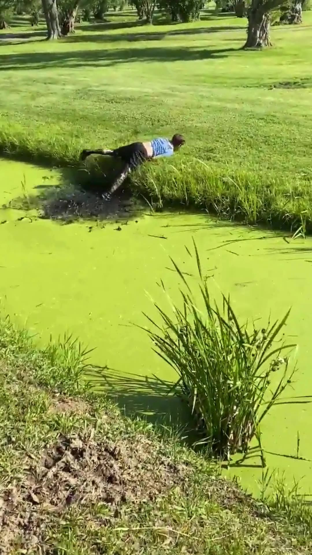 Which one really made you laugh? 😂😂😂