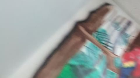 My Doberman Is A Lapdog ❤️