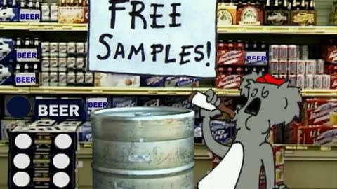Inebriated The Koala