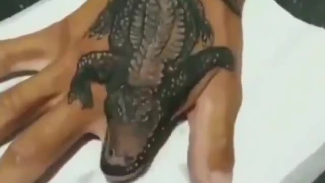 fuf no te pierdas esto