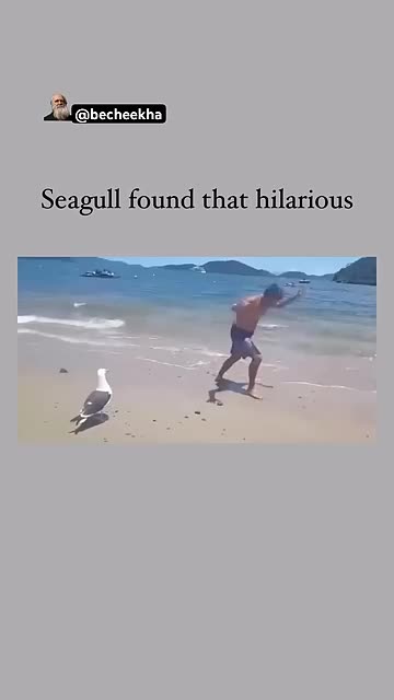 Funny moments _Oh My God😰Wait For End😳He made that Bird Laugh😳😂