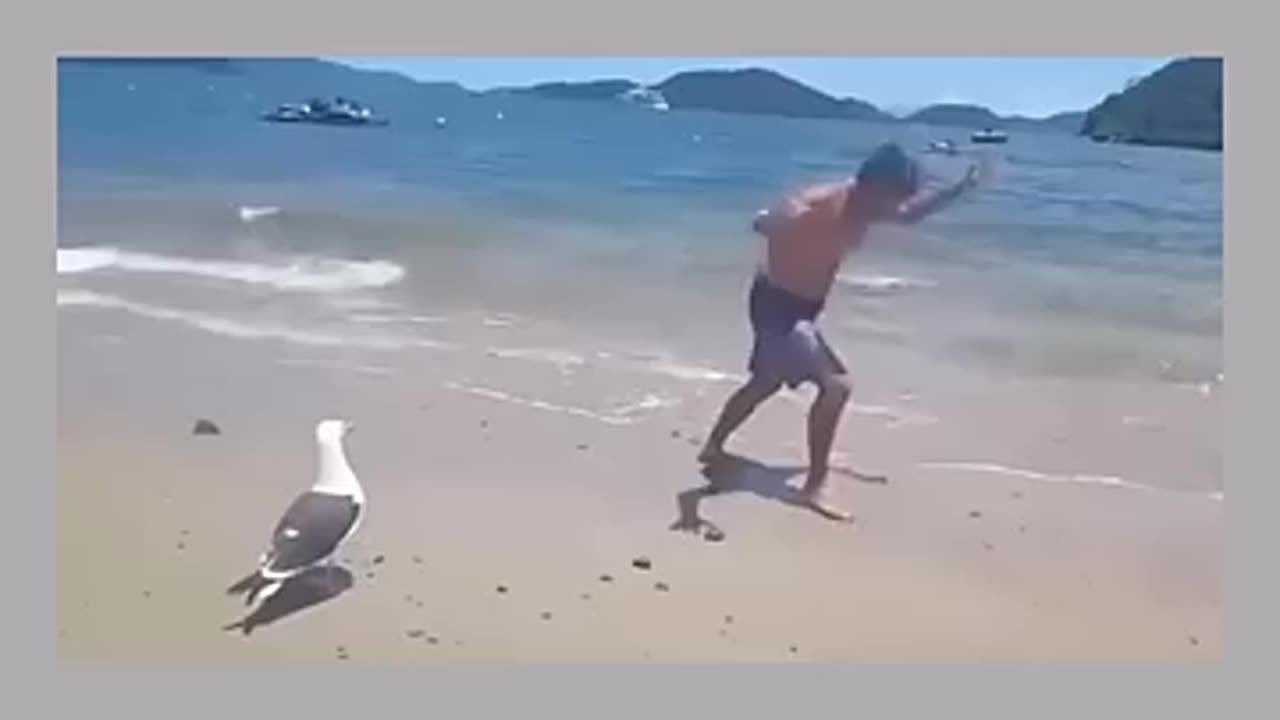 Funny moments _Oh My God😰Wait For End😳He made that Bird Laugh😳😂