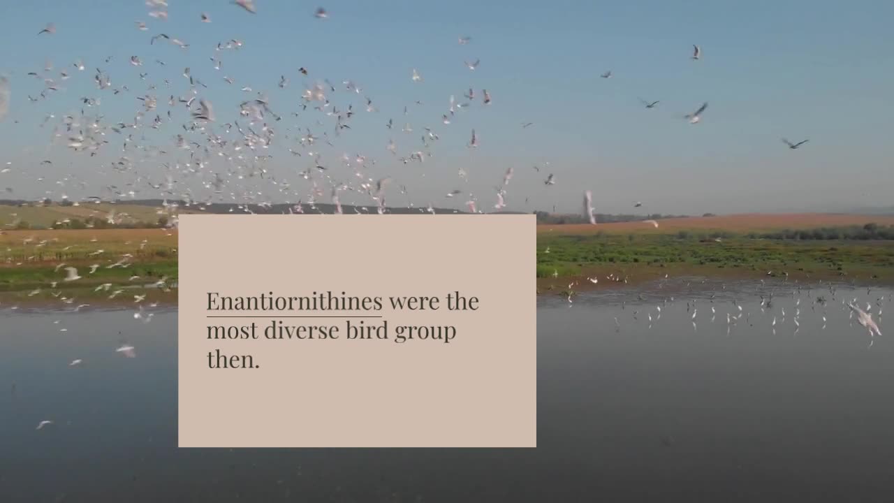 Ancient Hawk-Sized Birds With Raptor-Like Feet Discovered in Montana