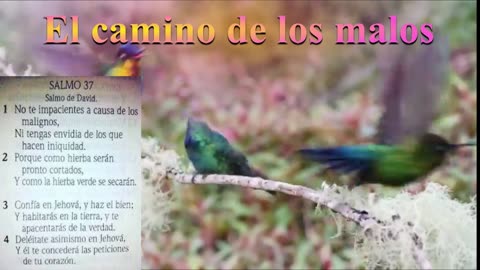 El camino de los malos_Salmo 37_ Devocional