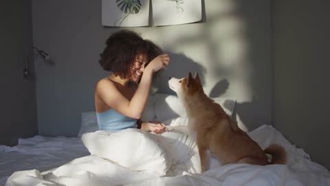 Cute Puppy Loves Playing With Mummy At Bed - What A Beautiful Morning