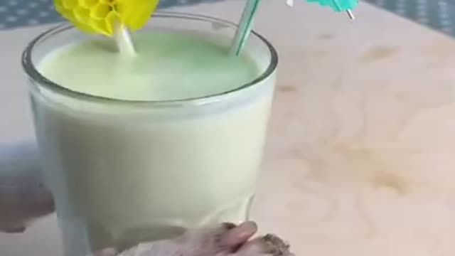 Baby Dogs 🐶 Cute and Funny Dog Videos Puppy Dogs Compilation