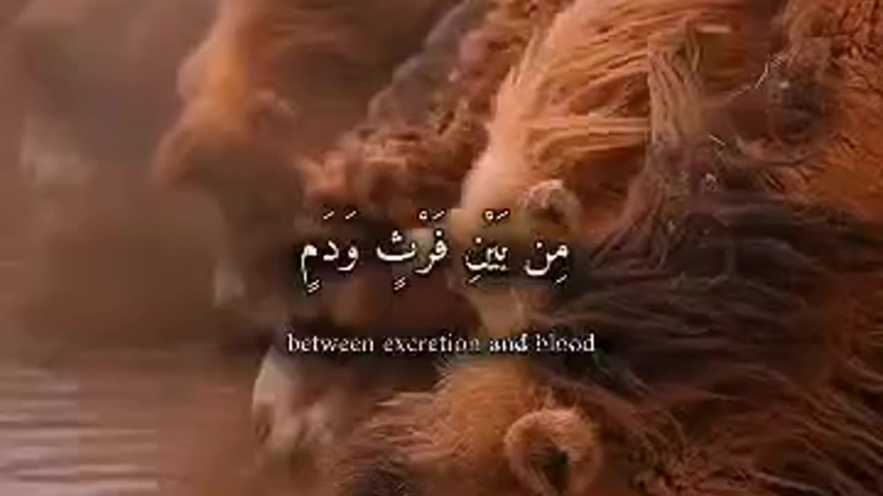 بلغوا عني ولو آية