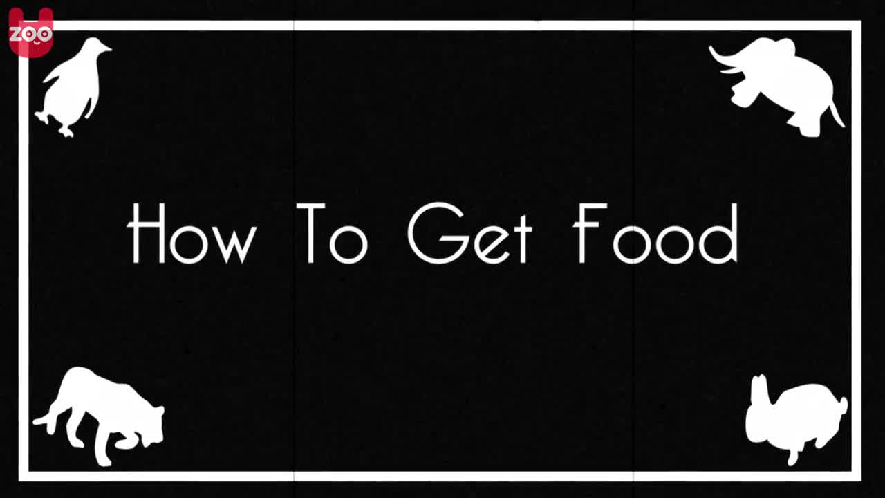 How To Get Food